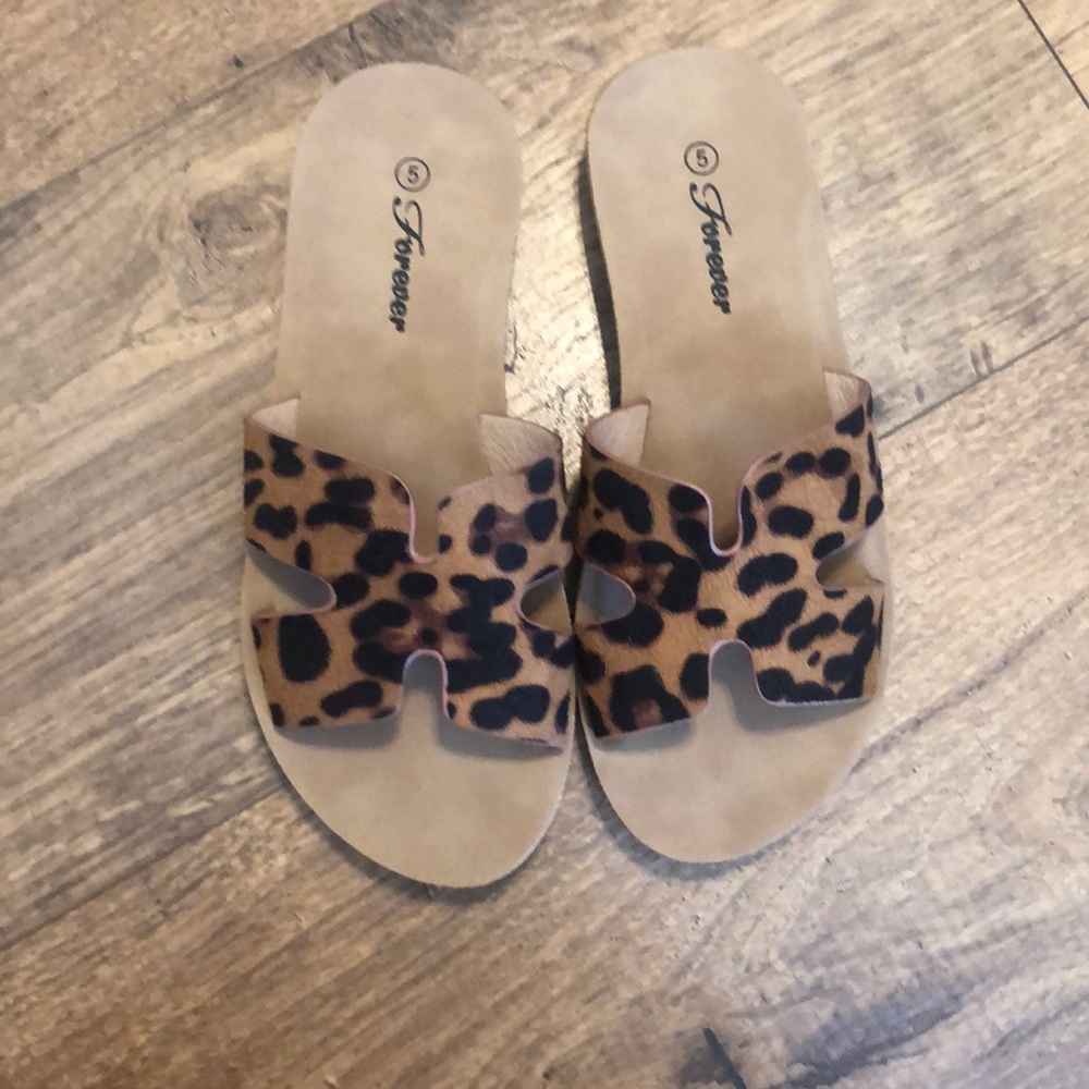 Cheetah slides